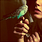 Аватар для Budgie