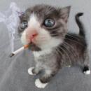 Аватар для STALKER78