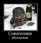 сово