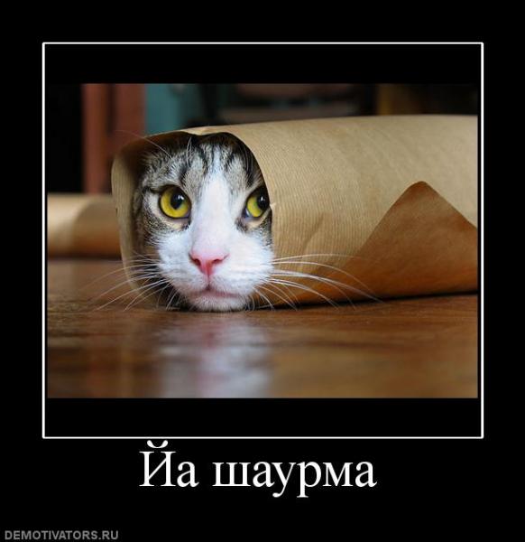 user8435 pic675 1260908377