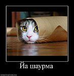 user8435 pic675 1260908377