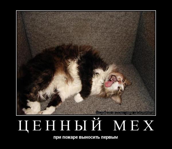 user8530 pic712 1261145220