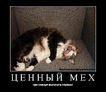 user8530 pic712 1261145220