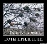 user8530 pic914 1263302602