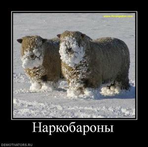 Наркобароны