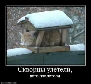 213714 skvortsyi uleteli.thumbnail