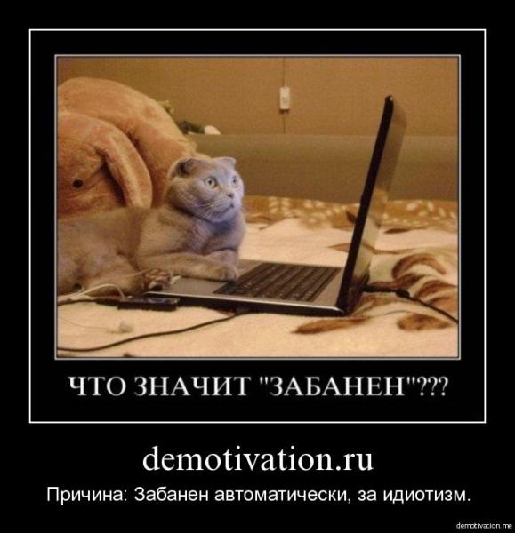 Забанен за идиотизм