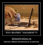 Забанен за идиотизм