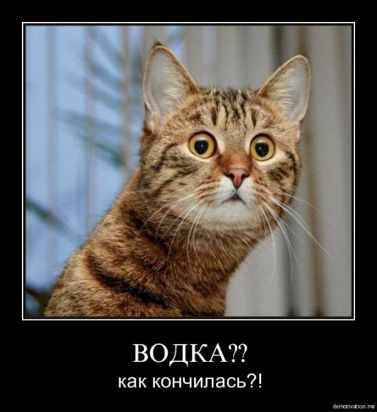 Водка??? Как "кончилась"???