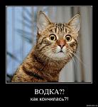 Водка??? Как "кончилась"???
