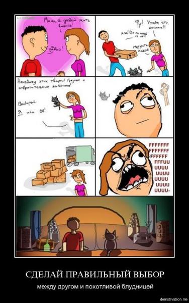 А ведь верно...