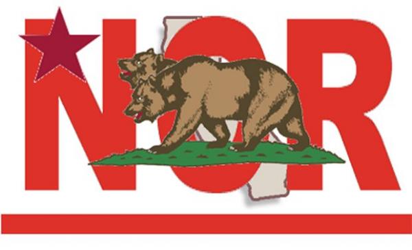 NCR Flag  article image