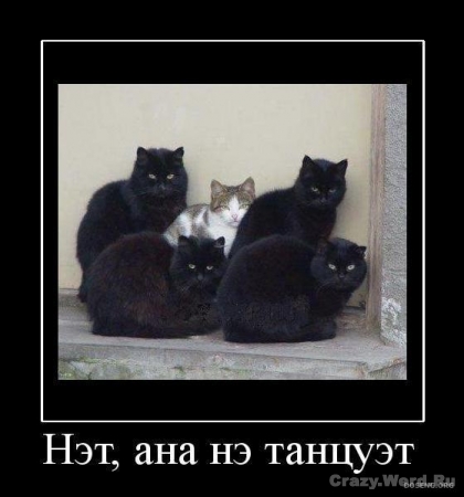 1246335152 1246307162 1239102735 2