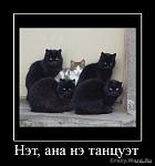 1246335152 1246307162 1239102735 2