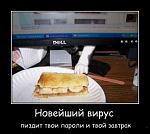 novye demotivatory 35809 s  18