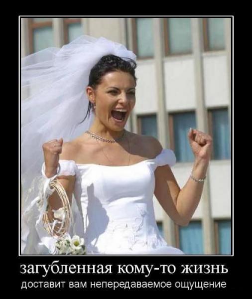 novye demotivatory foto 37627 s  15