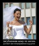 novye demotivatory foto 37627 s  15