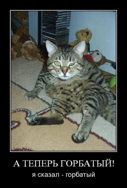 novye demotivatory foto 37627 s  41