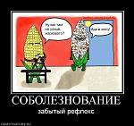 428360 soboleznovanie