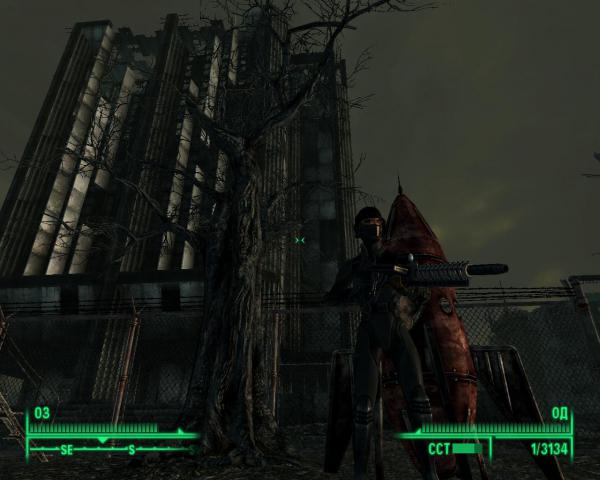 Fallout3 2009 05 25 22 37 15 60