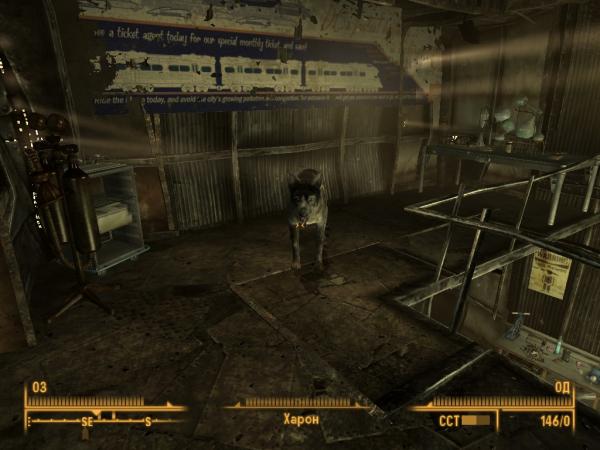 верный пес охраняет мои медикаменты и конечно химию...