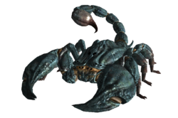 форум мастеров